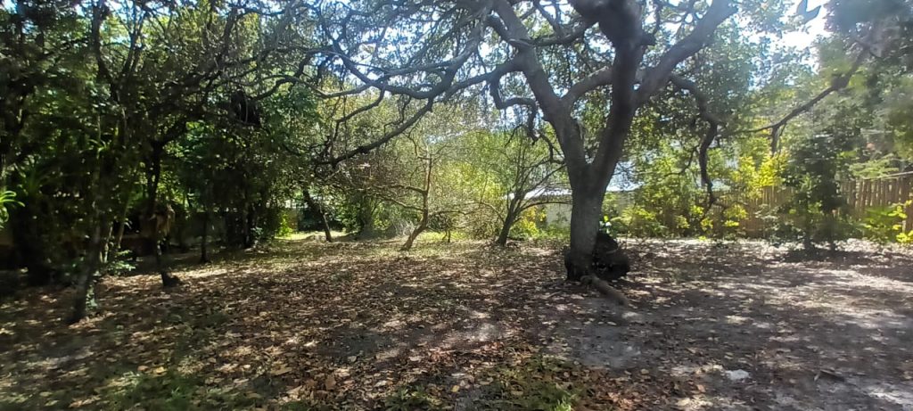 TERRENO EM ARRAIAL D´AJUDA NA ESTRADA DA BALSA