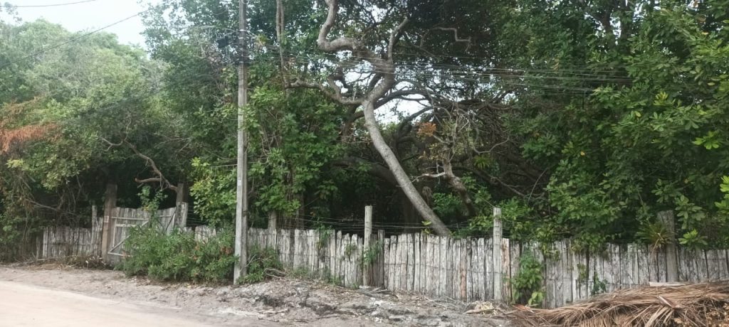 TERRENO EM ARRAIAL D´AJUDA NA ESTRADA DA BALSA