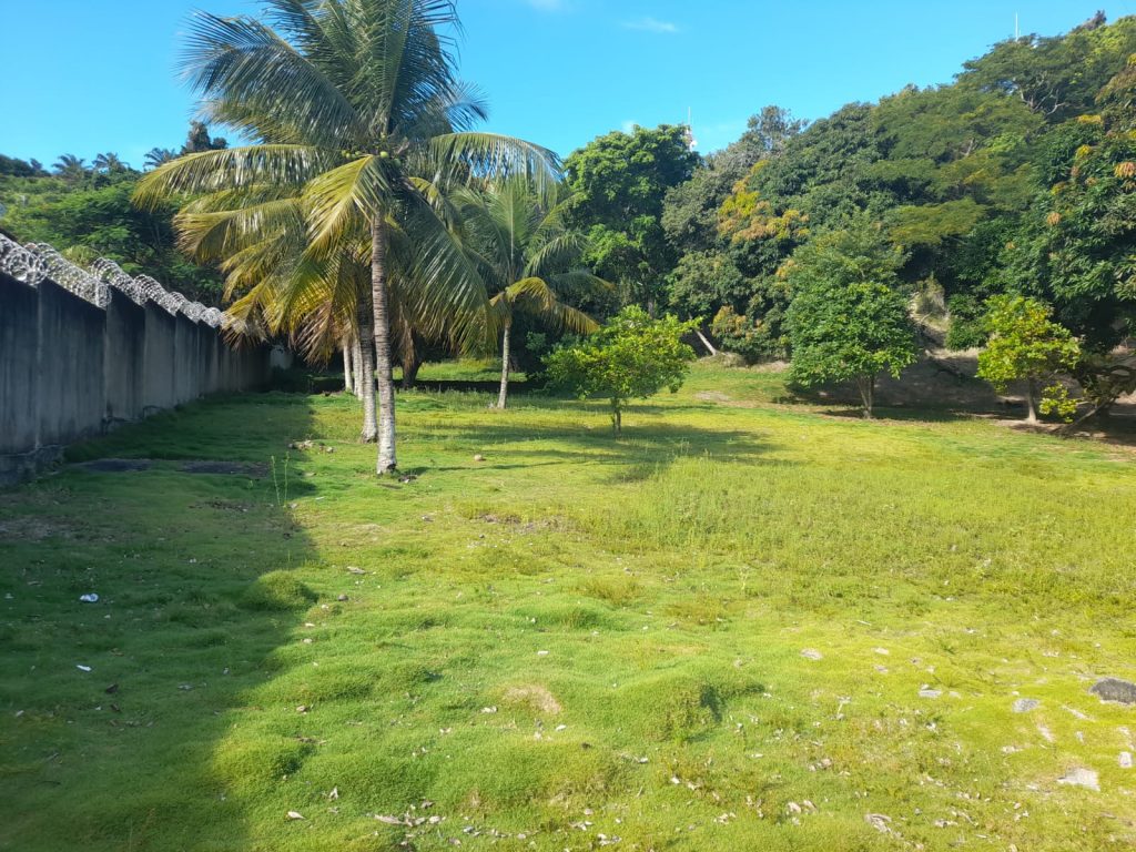 ÁREA NO CENTRO DE PORTO SEGURO