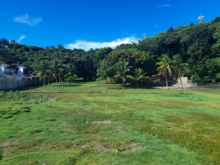 ÁREA NO CENTRO DE PORTO SEGURO