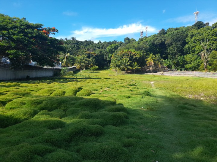 ÁREA NO CENTRO DE PORTO SEGURO