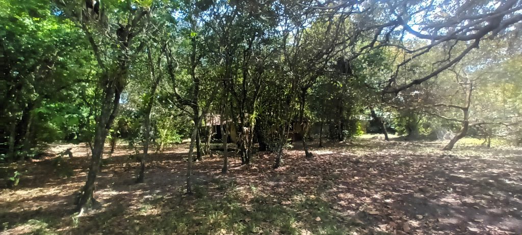 MARAVILHOSO TERRENO EM ARRAIAL D’AJUDA