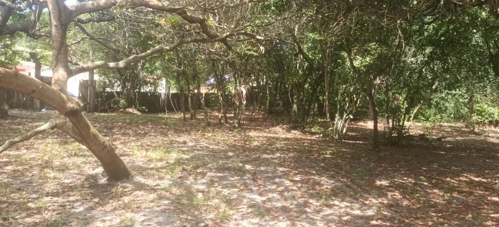 MARAVILHOSO TERRENO EM ARRAIAL D’AJUDA