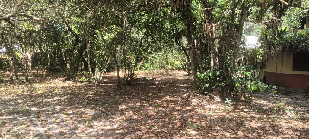 MARAVILHOSO TERRENO EM ARRAIAL D’AJUDA