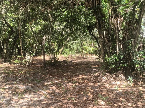 MARAVILHOSO TERRENO EM ARRAIAL D’AJUDA