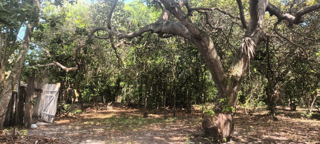 MARAVILHOSO TERRENO EM ARRAIAL D’AJUDA