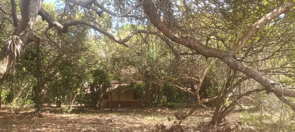 MARAVILHOSO TERRENO EM ARRAIAL D’AJUDA