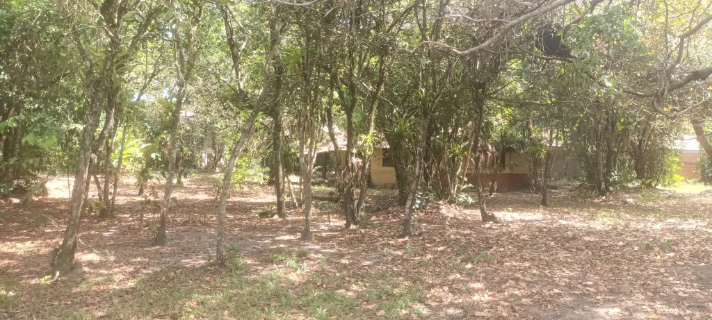 MARAVILHOSO TERRENO EM ARRAIAL D’AJUDA