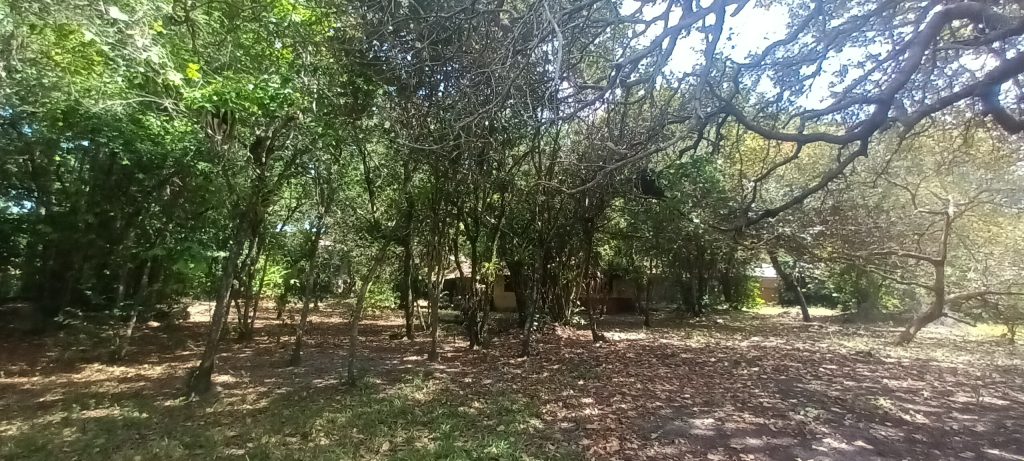 MARAVILHOSO TERRENO EM ARRAIAL D’AJUDA