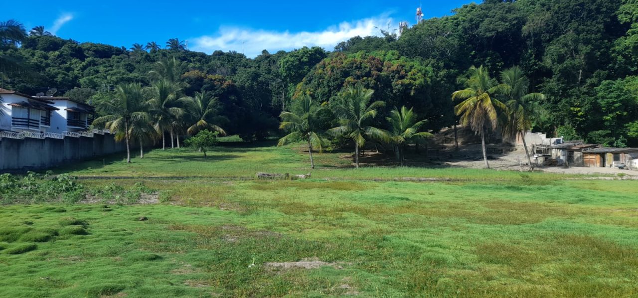 ÁREA NO CENTRO DE PORTO SEGURO